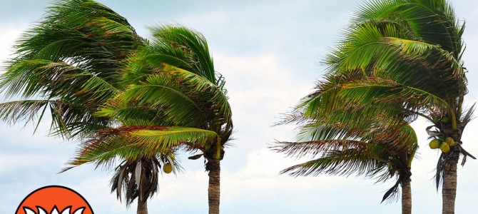 AP and Odissa will have cyclone disaster management projects. AP and Odissa will have cyclone disaster management projects.