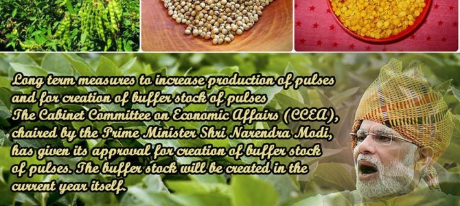 Long term measures to increase production of pulses and for creation of buffer stock of pulses